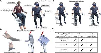 Investigating the perceptual attribution of a virtual robotic limb synchronizing with hand and foot simultaneously